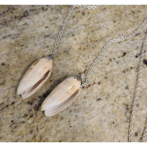 Shell Jewelry. Two Shells on Long Silver Tone Chain Vintage - Picture 7 of 12